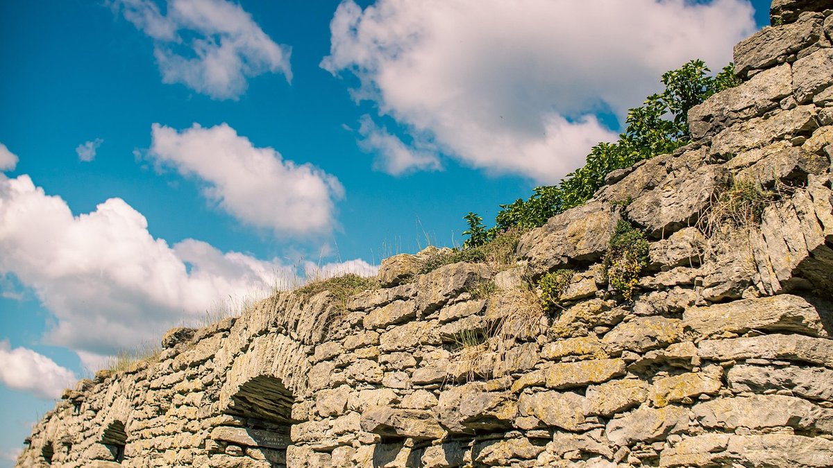 Choosing Plants for a Walled Garden
